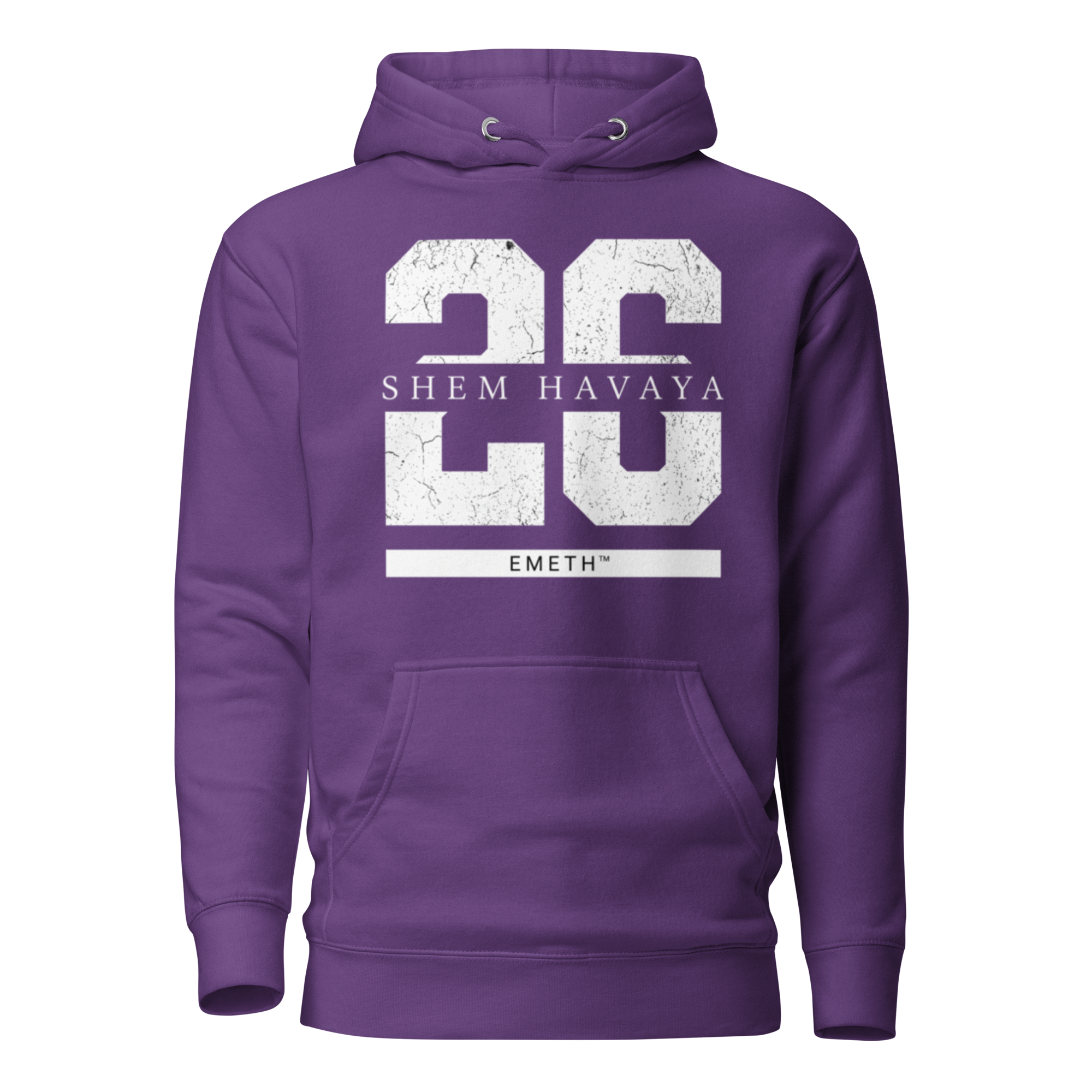 EMETH™ 26 Shem Havaya Hoodie — vue 7