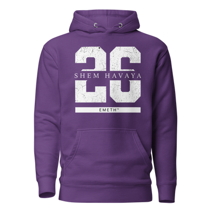 EMETH™ 26 Shem Havaya Hoodie — vue 7