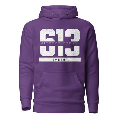 EMETH™ 613 Mitzvot Torah Premium Hoodie - Violet / S - EMETH