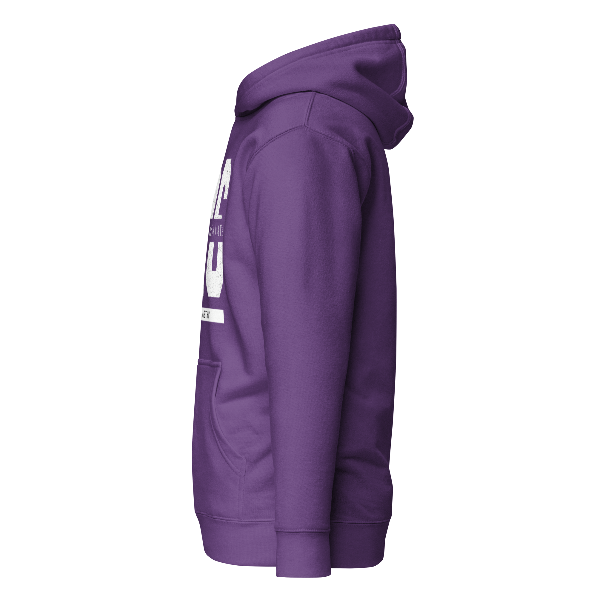 EMETH™ 26 Shem Havaya Hoodie — vue 25