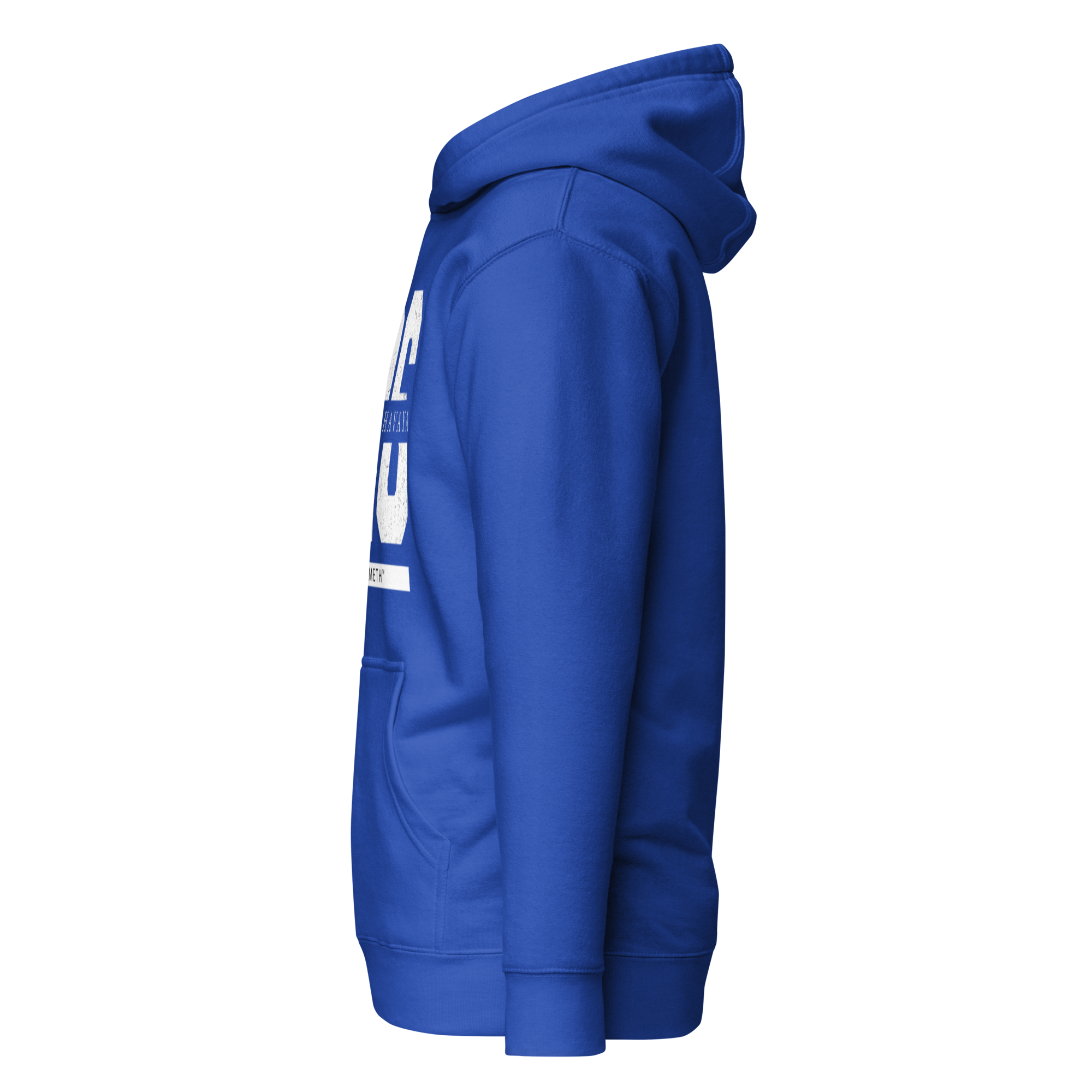 EMETH™ 26 Shem Havaya Hoodie — vue 24