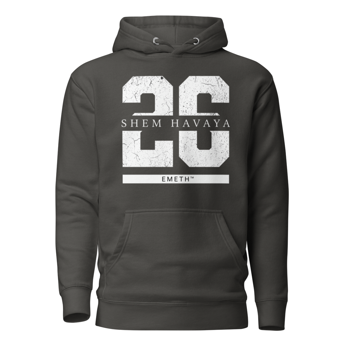 EMETH™ 26 Shem Havaya Hoodie — vue 5