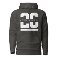 EMETH™ 26 Shem Havaya Hoodie — vue 5