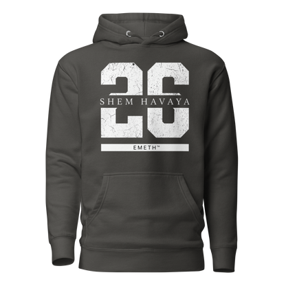 EMETH™ 26 Shem Havaya Hoodie — vue 5