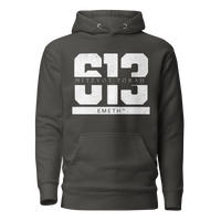 EMETH™ 613 Mitzvot Torah Premium Hoodie - Noir Vintage / S - EMETH