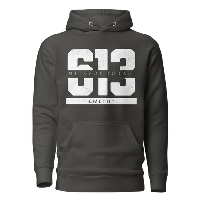 EMETH™ 613 Mitzvot Torah Premium Hoodie - Noir Vintage / S - EMETH