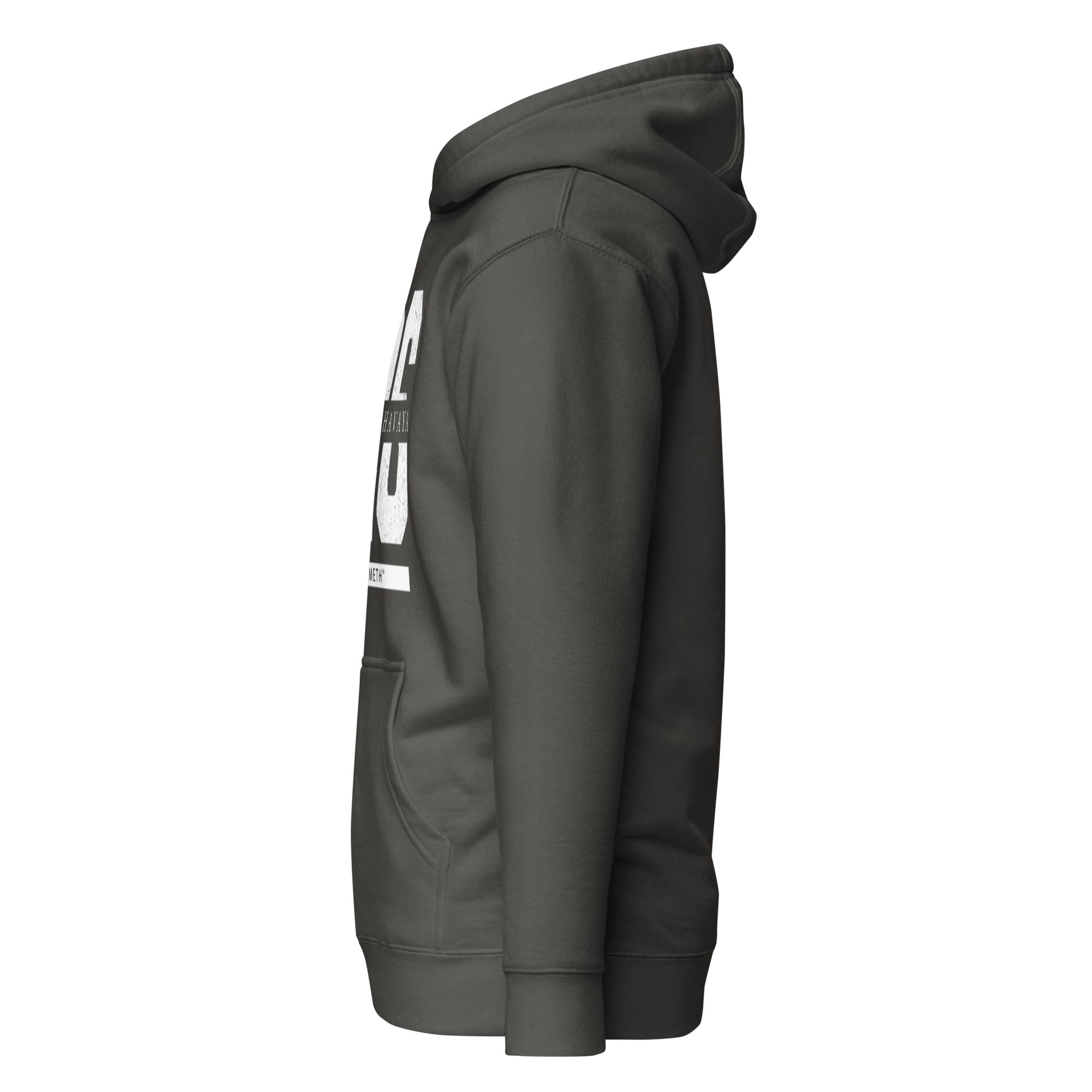 EMETH™ 26 Shem Havaya Hoodie — vue 23