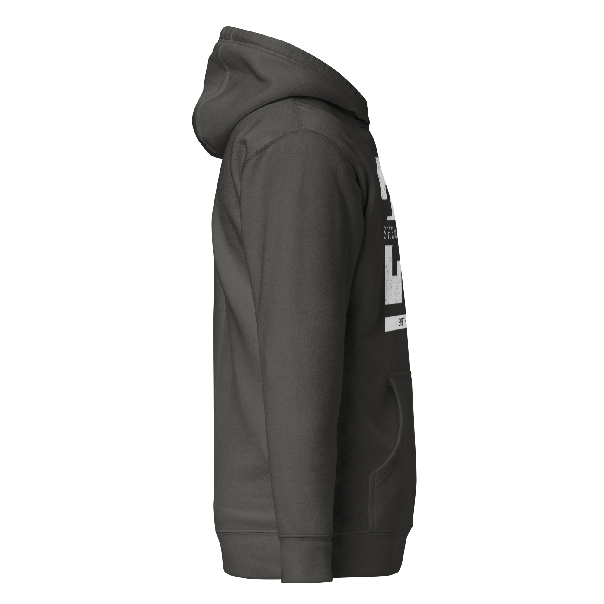 EMETH™ 26 Shem Havaya Hoodie — vue 32